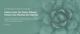 Oasis De Naturaleza Urbana - Diseño De Funcionalidad