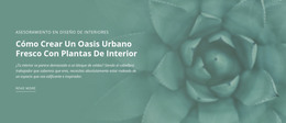 Nuevo Tema Para Oasis De Naturaleza Urbana