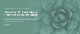 Oasis De Naturaleza Urbana