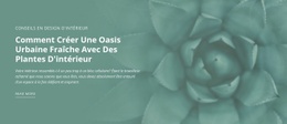 Oasis De Nature Urbaine - Maquette De Site Web Pour N'Importe Quel Appareil