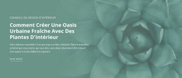 Oasis De Nature Urbaine – Modèle Personnalisable