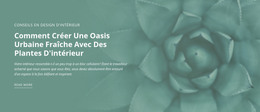 Nouveau Thème Pour Oasis De Nature Urbaine