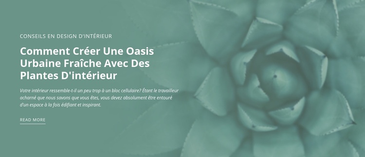 Oasis de nature urbaine Modèle HTML5