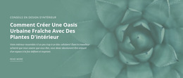 Mise En Page Multiple Intégrée Pour Oasis De Nature Urbaine