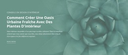 Oasis De Nature Urbaine - Page De Destination Créative Et Polyvalente