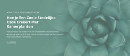 Stedelijke Natuuroase Eenvoudige Html-Sjabloon Met CSS