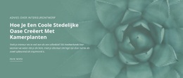 Stedelijke Natuuroase - HTML Template Builder