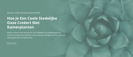 Stedelijke Natuuroase - Functionaliteitsontwerp