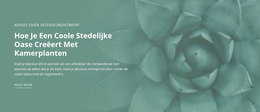 Ingebouwde Meervoudige Lay-Out Voor Stedelijke Natuuroase