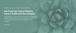 Miejska Oaza Przyrody - Projekt Funkcjonalności