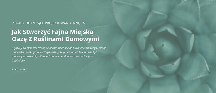 Miejska oaza przyrody Szablon HTML5