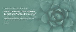 Oásis De Natureza Urbana - Design De Funcionalidade