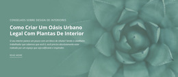 Oásis De Natureza Urbana