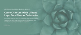 Oásis De Natureza Urbana - Landing Page Criativa Multiuso