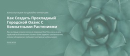 Оазис Городской Природы — Красивый Шаблон Joomla