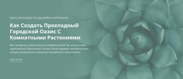 Оазис Городской Природы — Настраиваемая Профессиональная Тема WordPress