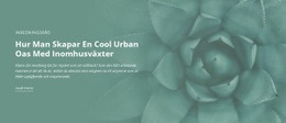 Urban Oas I Naturen Grundläggande HTML-Mall Med CSS