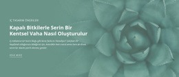 Kentsel Doğa Vahası - En Iyi Web Sitesi Oluşturucu