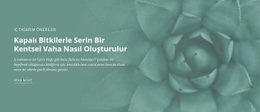 Kentsel Doğa Vahası - Işlevsellik Tasarımı