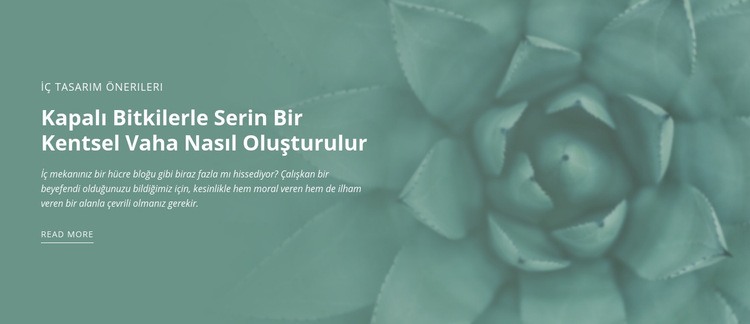 Kentsel doğa vahası Web sitesi tasarımı