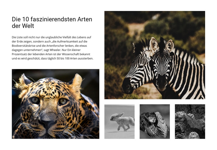 Engagierte Tierfotografie Website-Vorlage