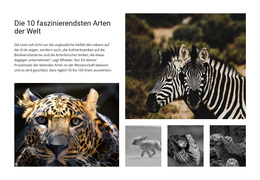 Engagierte Tierfotografie #Wordpress-Themes-De-Seo-One-Item-Suffix