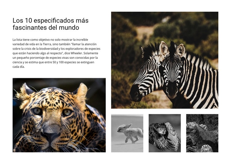 Involucrar la fotografía de vida silvestre Maqueta de sitio web