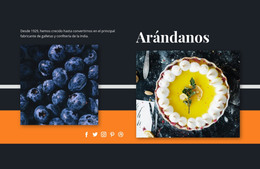 Página Web Para Arándanos En Postres