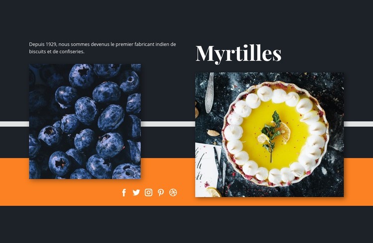 Myrtilles dans les desserts Modèle CSS