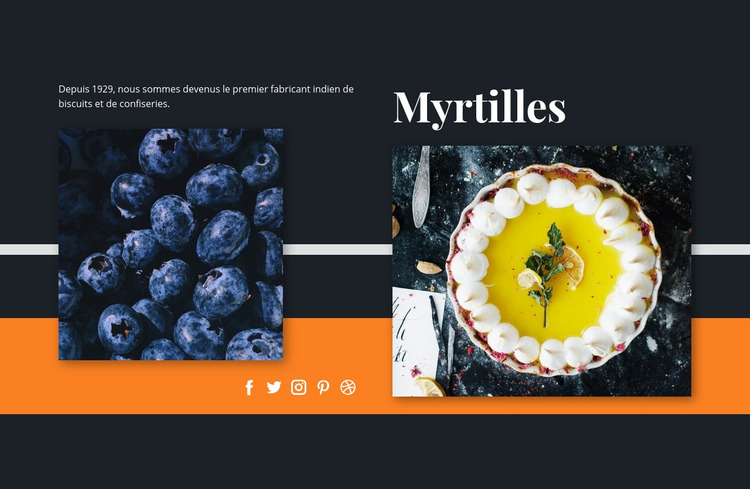Myrtilles dans les desserts Modèle Joomla