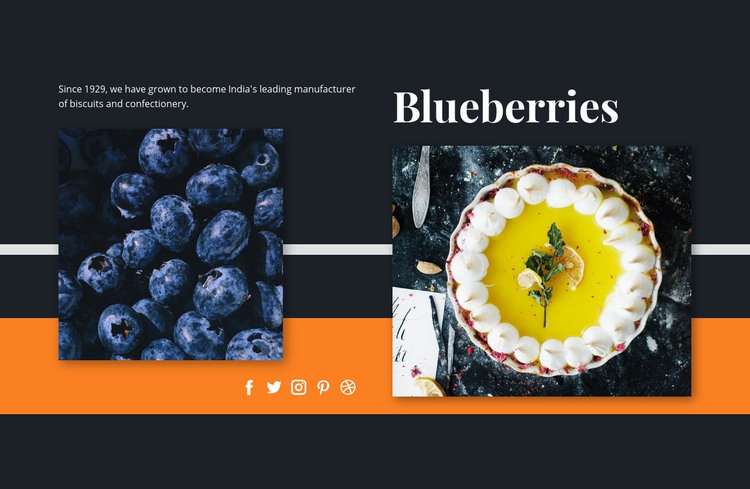 Blueberries in desserts Homepage Design