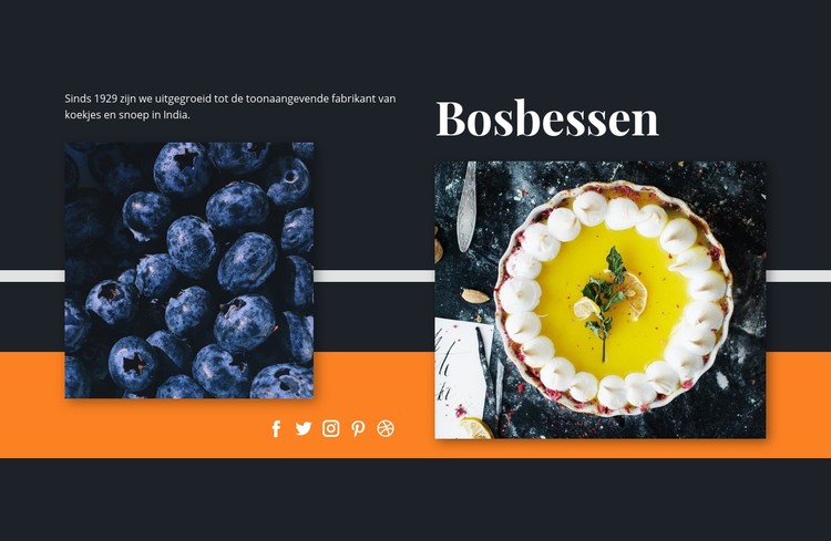 Bosbessen in desserts CSS-sjabloon