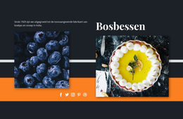 Multifunctioneel WordPress-Thema Voor Bosbessen In Desserts