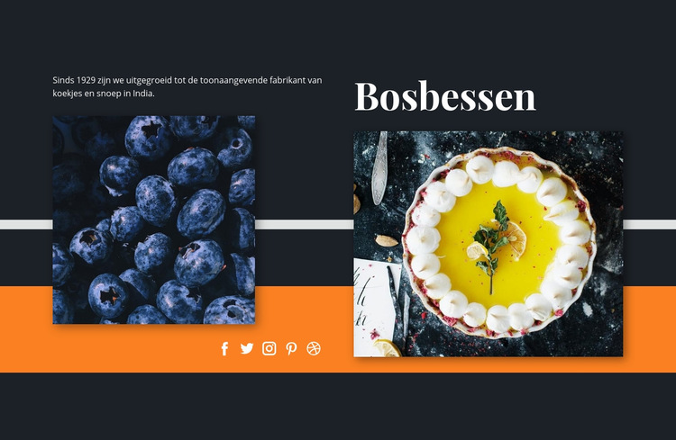 Bosbessen in desserts Website sjabloon