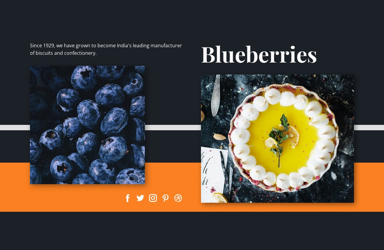 Blueberries in desserts One Page Template