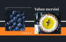 Tatlılarda Yaban Mersini Premium CSS Şablonu