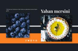 Tatlılarda Yaban Mersini Için Çok Amaçlı WordPress Teması