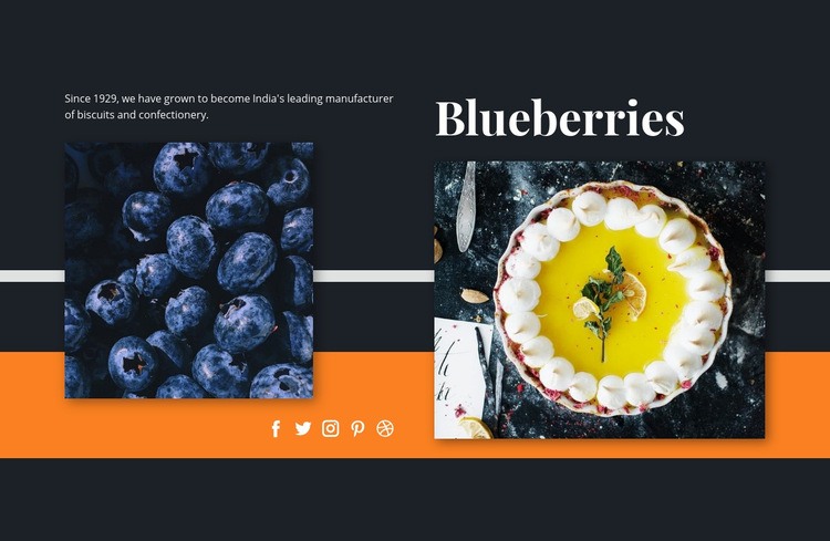 Blueberries in desserts Webflow Template Alternative