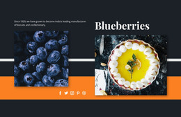 Multipurpose WordPress Theme For Blueberries In Desserts