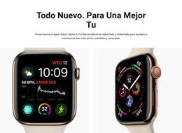 Las Funciones Básicas De Fitness - Tema De WordPress Listo Para Usar