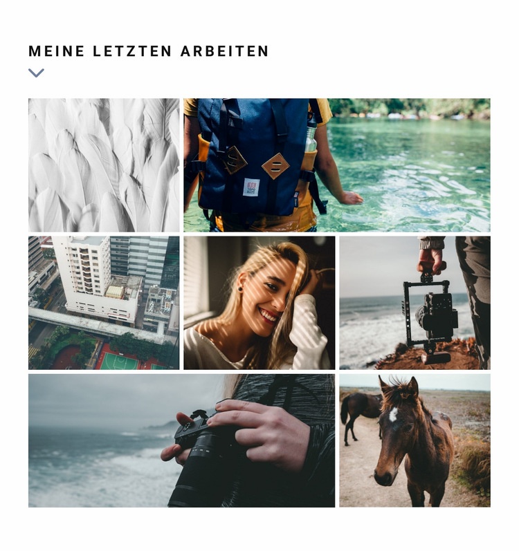 Letzte Werkgalerie Website-Modell