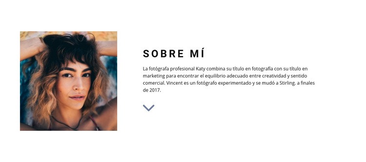 Conoce a nuestro diseñador Creador de sitios web HTML