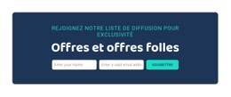 Offres Et Offres Folles - Maquette De Site Web Ultime