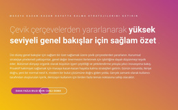 Metin Çerçeveleri - Basit Web Sitesi Şablonu