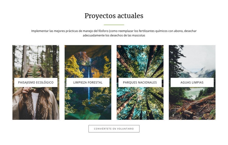 Proyectos actuales Creador de sitios web HTML