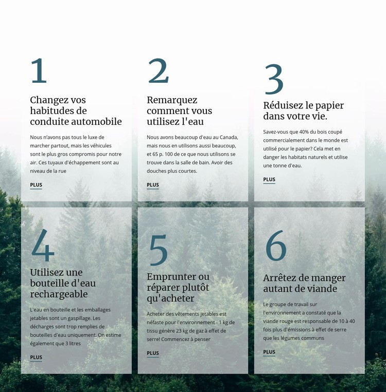 6 bonnes habitudes vertes Modèle d'une page