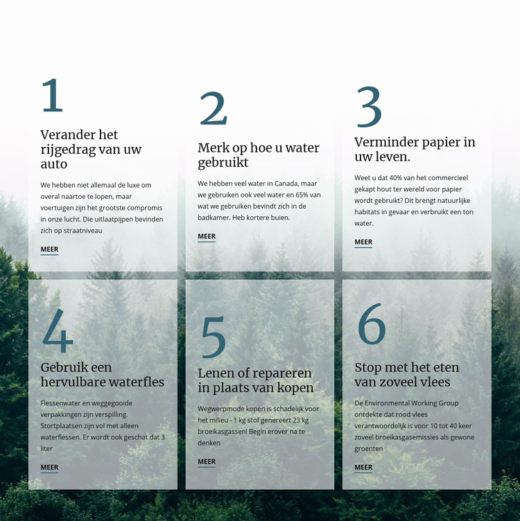 6 goede groene gewoonten WordPress-thema