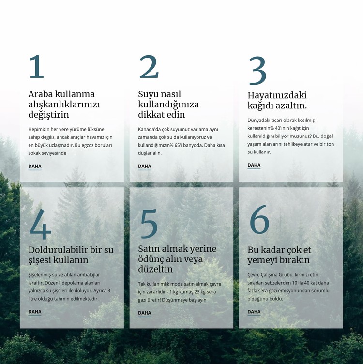 6 iyi yeşil alışkanlık CSS Şablonu
