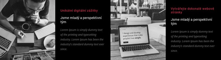 Jsme mladý a perspektivní tým Šablona CSS