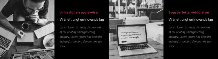 Vi är ett ungt och lovande lag Webbplats mall